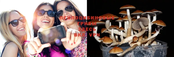 не бодяженный Протвино